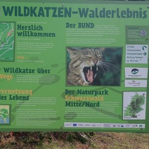 Eine Hinweistafel des Wildkatzen-Erlebnispfades.