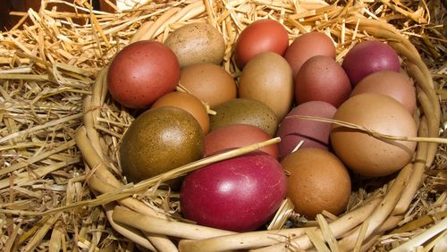 Eier in einem Korb aus Stroh.