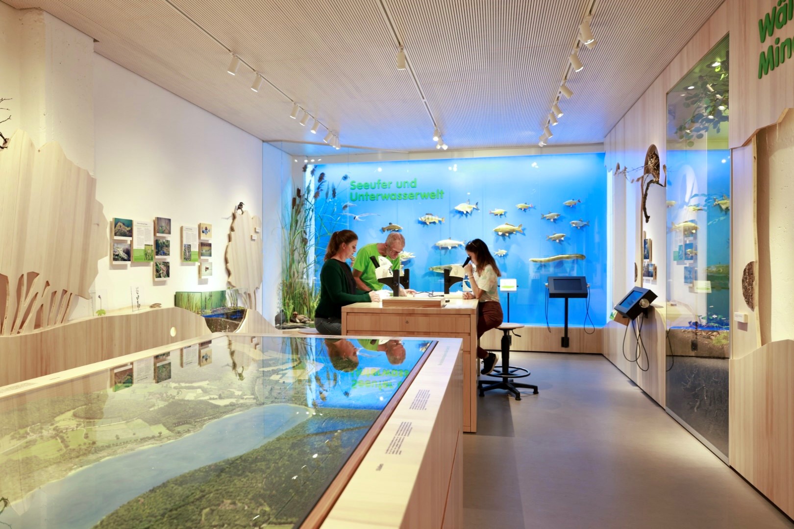 Unterwasserwelt: Mindelsee-Ausstellung