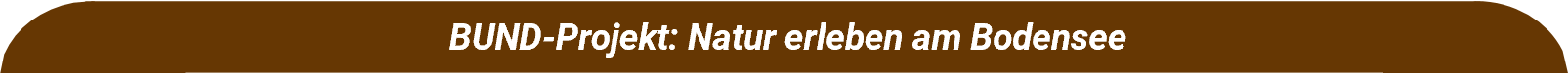 Projektleiste in Braun