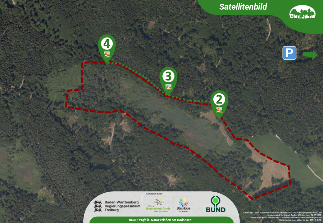 Satellitenbild NSG Bussensee