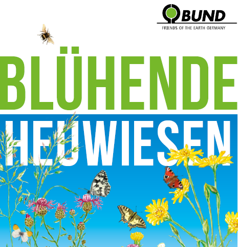 Flyer Blühende Heuwiesen