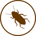 Käfer Icon