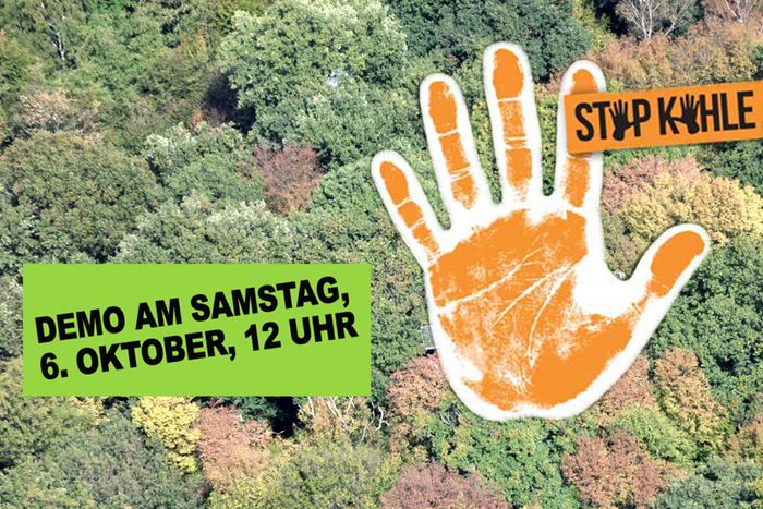 Luftaufnahme des Hambacher Wald mit erhobener Hand.