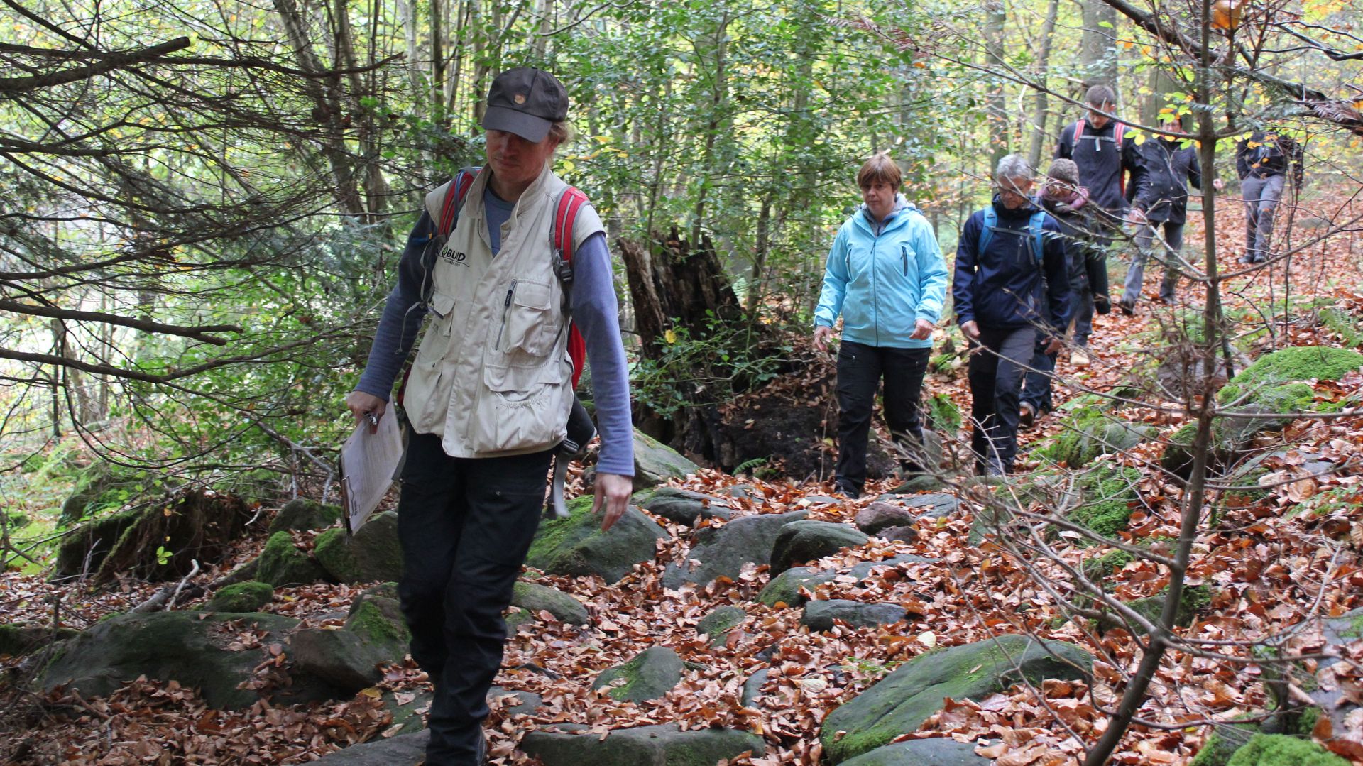 Wanderer stapfen durch den Wald.