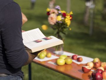 Mensch liest in einem Buch, im Hintergrund Äpfel auf einem Tisch im Freien.