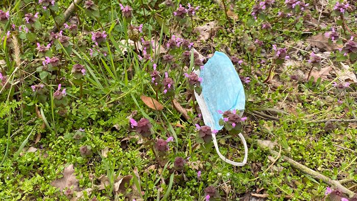 Eine schmutzige OP-Maske liegt in einer Blumenwiese.