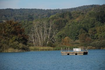 Brutfloß am Mindelsee | 2023