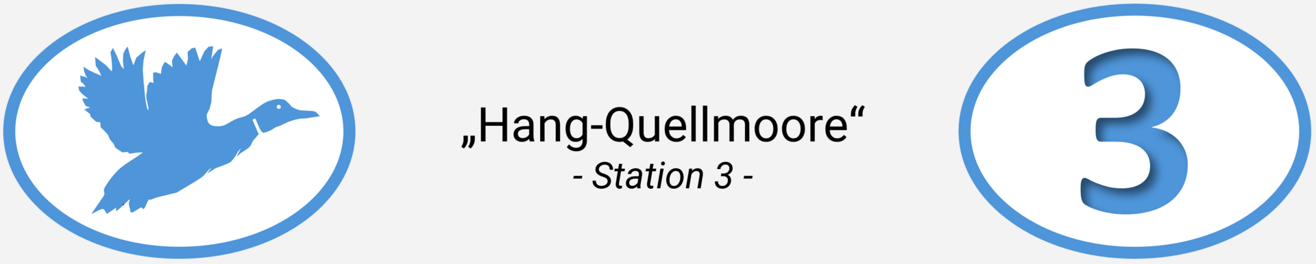 NeaB-Station-3-Icon-Header-Web