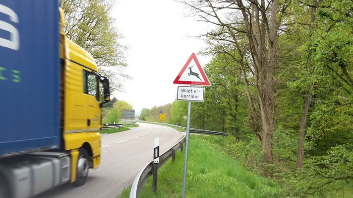 Wildtierkorridor Rastatt