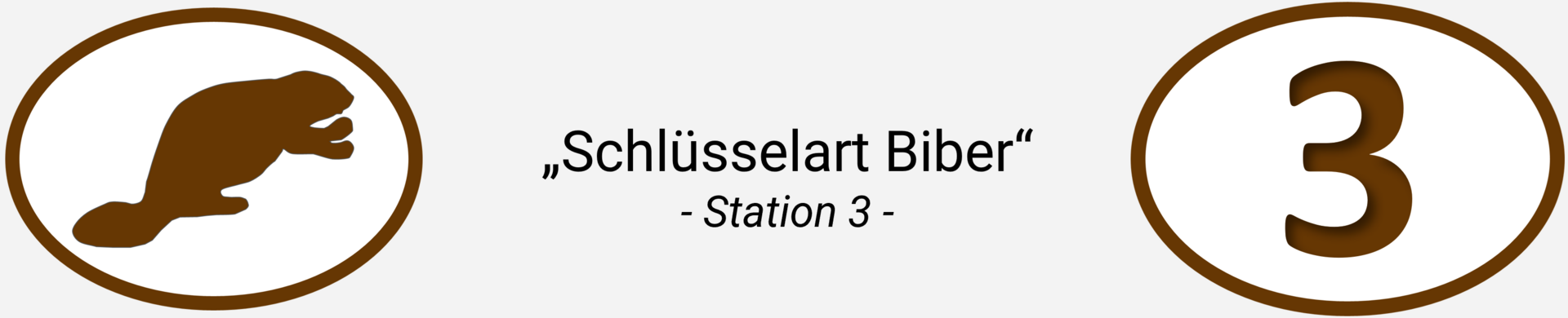 Station 3 Header