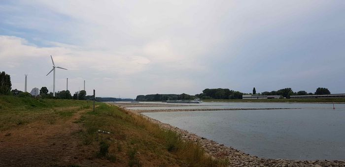 Rhein mit Niedrigwasserstand.