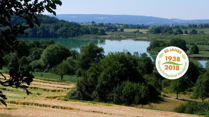 Panoramabild des Naturschutzgebiet Mindelsee