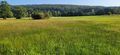 Ried am Mindelsee
