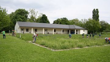 Schmetterlingswiese im Rosensteinpark Stuttgart