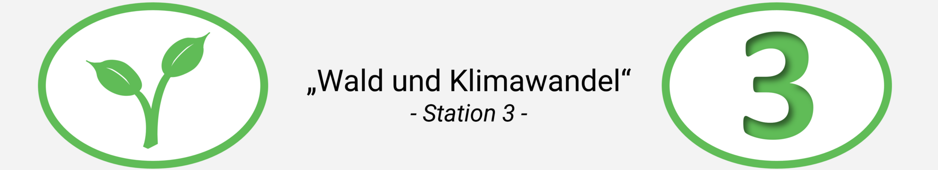 Station 3: Wald und Klimawandel