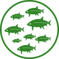 Fichzucht Icon