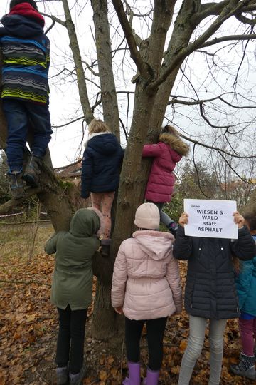 Kinder auf einem Baum mit einem "Wiesen und Wald" Schild