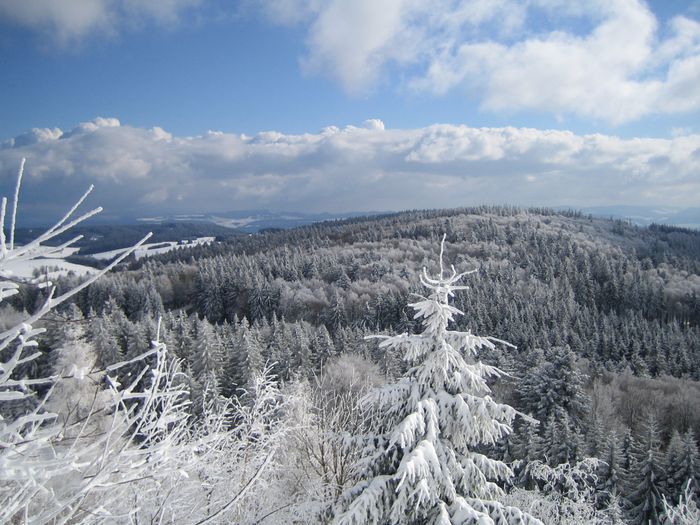 Standort des PSW Atdorf bei Schnee. Foto: BUND Hochrhein