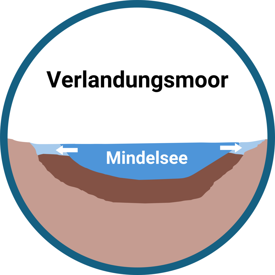 Schema Verlandungsmoor