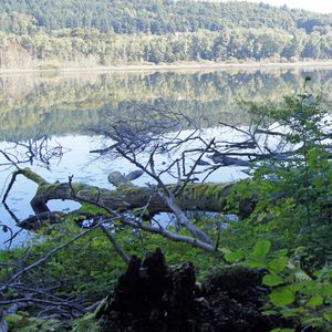 Südufer am Mindelsee
