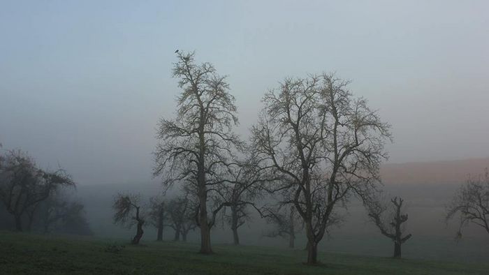 Nebliger November in Backnang