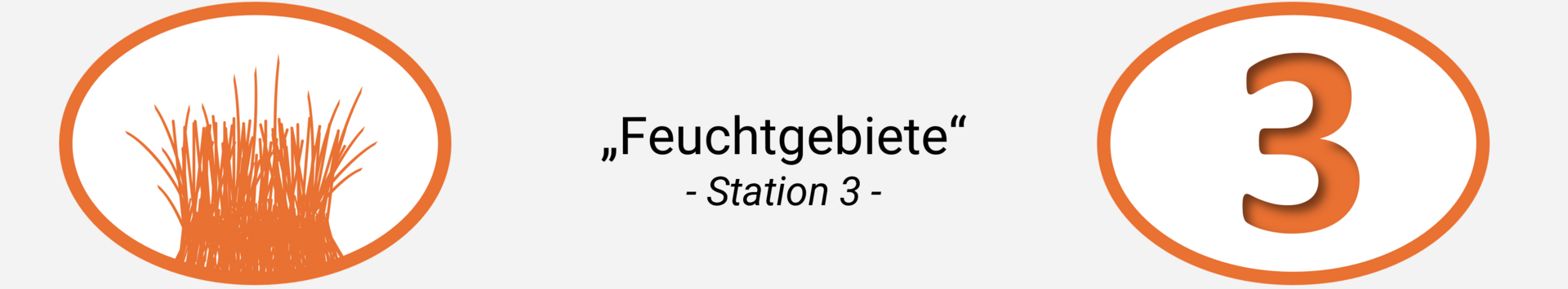 Station 3 Header: Feuchtgebiete