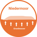 Niedermoor Icon
