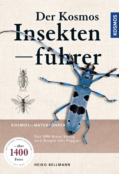 Insektenführer