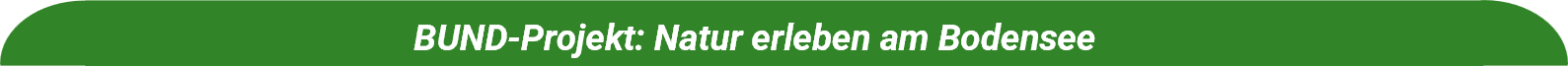 Projektleiste Grün