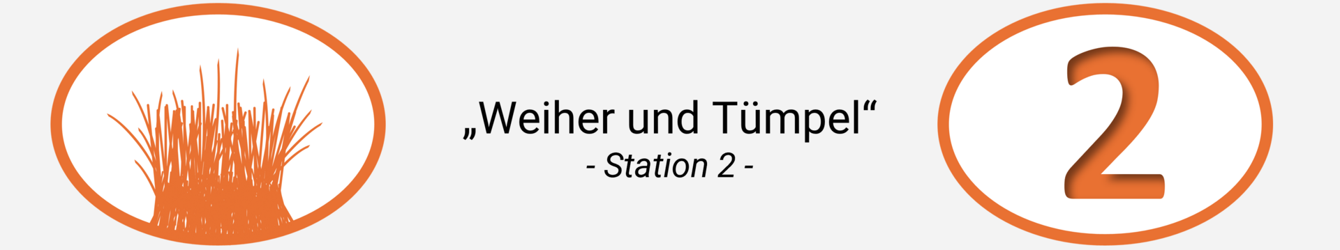 Station 2 Header: Tümpel und Weiher