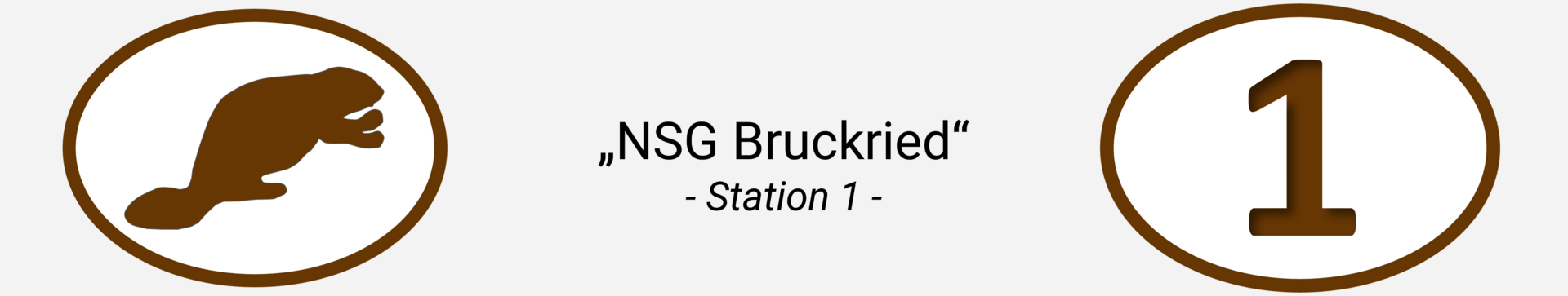 Station 1: "NSG Bruckried"