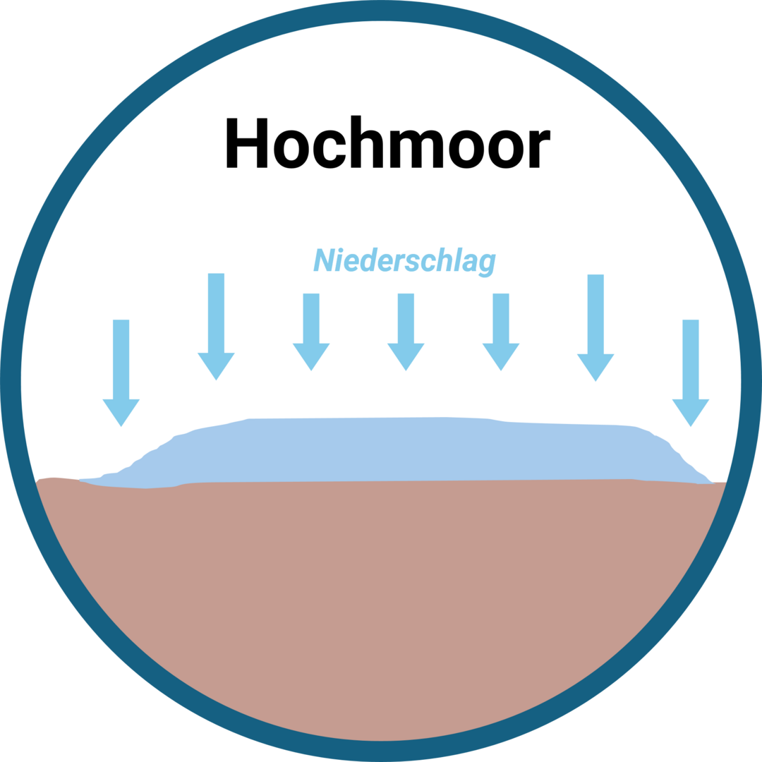 Schema Hochmoor