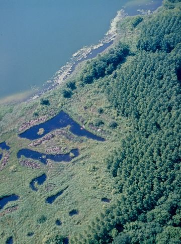 Luftbild der Nordteiche am Mindelsee | 2003