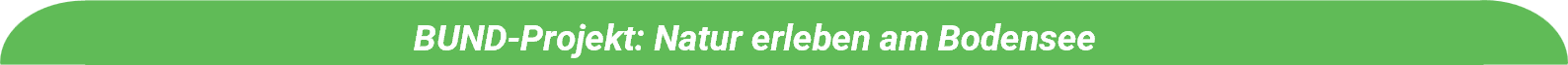 Footer Mainauried