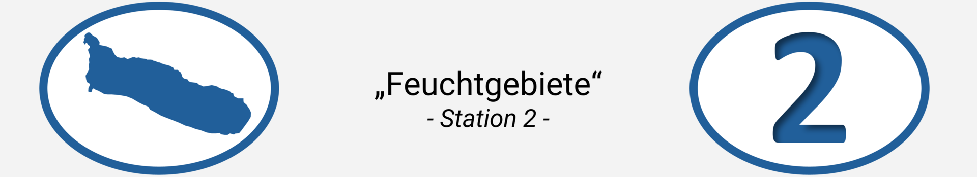 Station 2 | Röhricht
