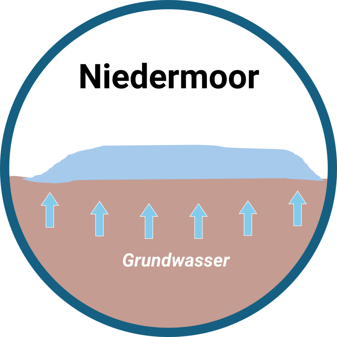 Schema Niedermoor