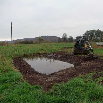 Neuanlage eines Tümpels am Mindelsee