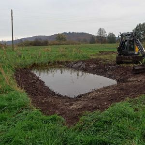 Neuanlage eines Tümpels am Mindelsee