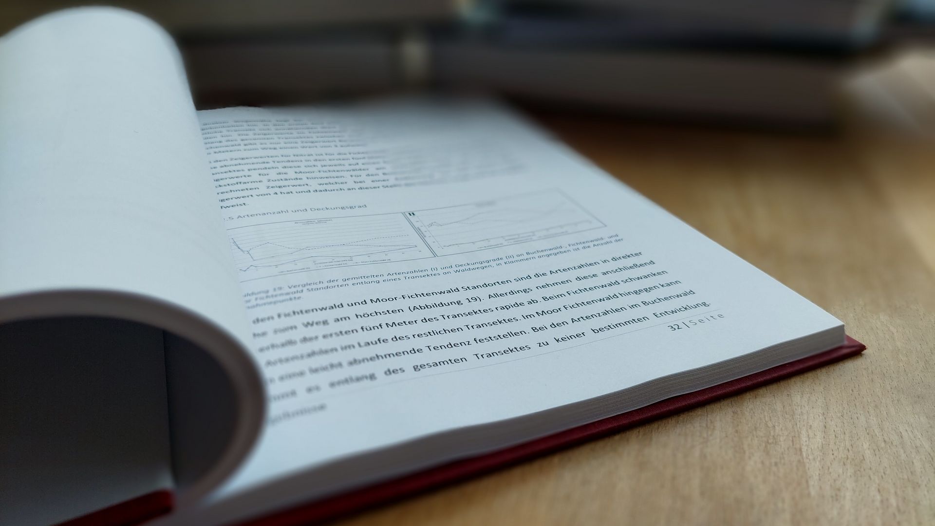 Literatur