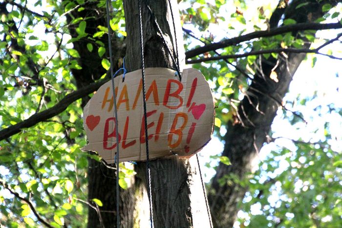 HambiBleibt-Schild im Hambacher Wald