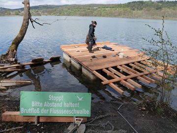 Brutfloß: Neubau und Reparatur (04-2025)