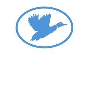 Stehlwiesen Icon