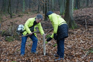 Ein Mann und eine Frau schlagen einen Lockstock mit einer Axt in den Waldboden. 