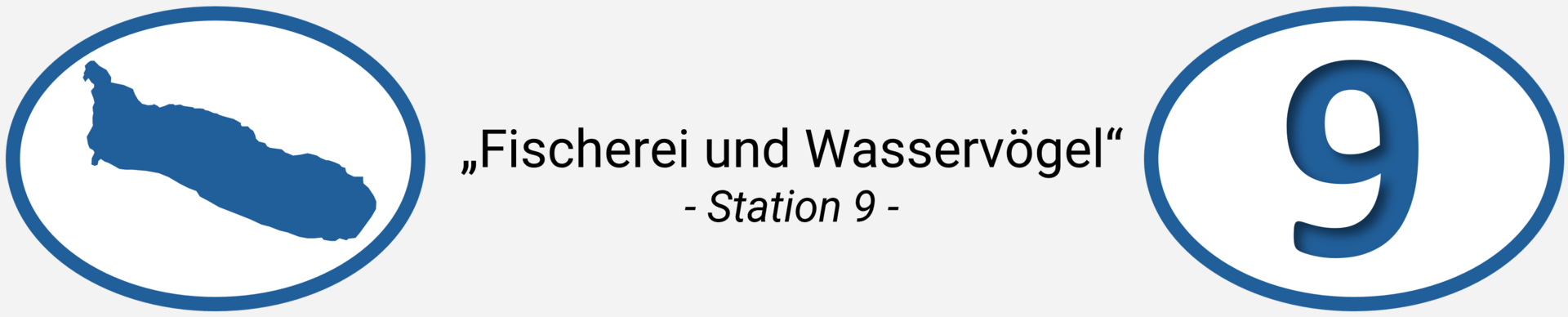 Station 9: Fischerei und Wasservögel