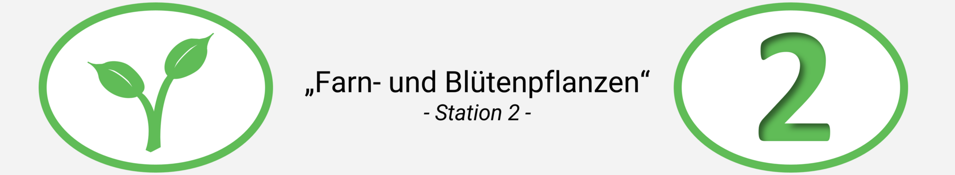 Station 2: Seltene Pflanzen