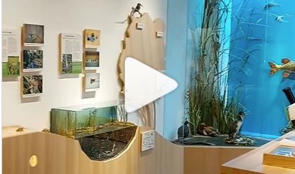 Mindelseeausstellung Kurzfilm