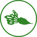 Ackerfrüchte Icon