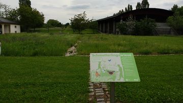 Schild des Schmetterlingsprojektes an einer Wiese im Stuttgarter Rosensteinpark