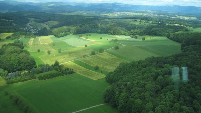 Landschaft des Schwarzwaldes 